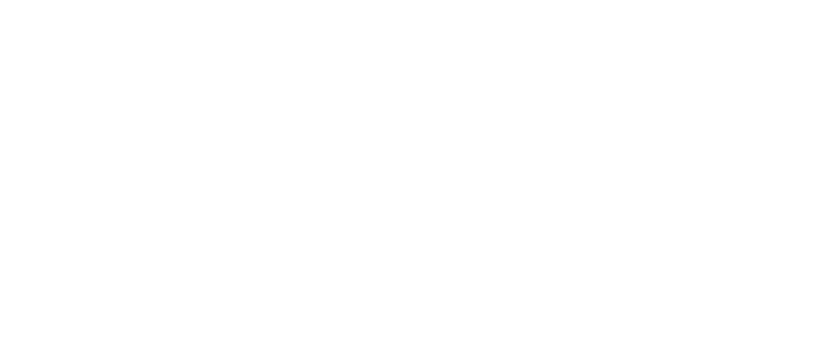 IEEE Austria